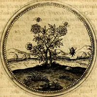 Picture 294 of 444 from Symbolorum et emblematum ... centuria una [-quatuor] (1654), leaf 394