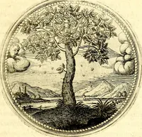 An illustration from Symbolorum et emblematum ... centuria una [-quatuor] (1654)
