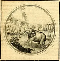 Picture 306 of 444 from Symbolorum et emblematum ... centuria una [-quatuor] (1654), leaf 420