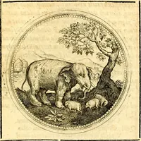 Picture 308 of 444 from Symbolorum et emblematum ... centuria una [-quatuor] (1654), leaf 422