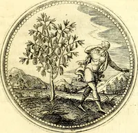 An illustration from Symbolorum et emblematum ... centuria una [-quatuor] (1654)