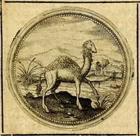 Picture 332 of 444 from Symbolorum et emblematum ... centuria una [-quatuor] (1654), leaf 448