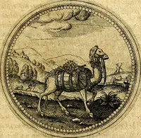 An illustration from Symbolorum et emblematum ... centuria una [-quatuor] (1654)