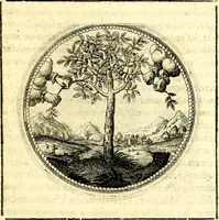 Picture 37 of 444 from Symbolorum et emblematum ... centuria una [-quatuor] (1654), leaf 50