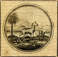 Picture 380 of 444 from Symbolorum et emblematum ... centuria una [-quatuor] (1654), leaf 508
