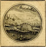 Picture 384 of 444 from Symbolorum et emblematum ... centuria una [-quatuor] (1654), leaf 514