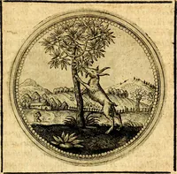 An illustration from Symbolorum et emblematum ... centuria una [-quatuor] (1654)