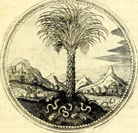 Picture 43 of 444 from Symbolorum et emblematum ... centuria una [-quatuor] (1654), leaf 56