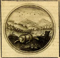 An illustration from Symbolorum et emblematum ... centuria una [-quatuor] (1654)