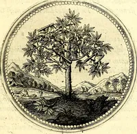 Picture 45 of 444 from Symbolorum et emblematum ... centuria una [-quatuor] (1654), leaf 58