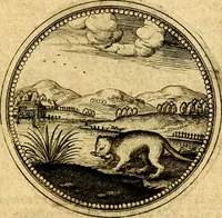 Picture 438 of 444 from Symbolorum et emblematum ... centuria una [-quatuor] (1654), leaf 608
