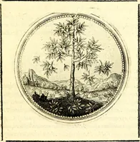 Picture 51 of 444 from Symbolorum et emblematum ... centuria una [-quatuor] (1654), leaf 64