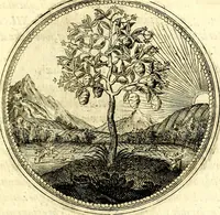 Picture 53 of 444 from Symbolorum et emblematum ... centuria una [-quatuor] (1654), leaf 66