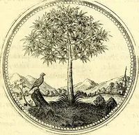 Picture 57 of 444 from Symbolorum et emblematum ... centuria una [-quatuor] (1654), leaf 70