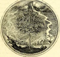 Picture 65 of 444 from Symbolorum et emblematum ... centuria una [-quatuor] (1654), leaf 78