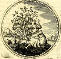 Picture 67 of 444 from Symbolorum et emblematum ... centuria una [-quatuor] (1654), leaf 80