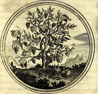 An illustration from Symbolorum et emblematum ... centuria una [-quatuor] (1654)
