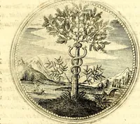 Picture 70 of 444 from Symbolorum et emblematum ... centuria una [-quatuor] (1654), leaf 84