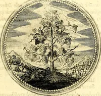 Picture 72 of 444 from Symbolorum et emblematum ... centuria una [-quatuor] (1654), leaf 86