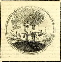Picture 74 of 444 from Symbolorum et emblematum ... centuria una [-quatuor] (1654), leaf 88