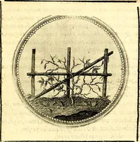 Picture 78 of 444 from Symbolorum et emblematum ... centuria una [-quatuor] (1654), leaf 92