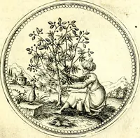 An illustration from Symbolorvm et emblematvm ex re herbaria desvmtorvm centvria vna (1590)