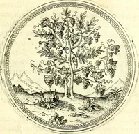 An illustration from Symbolorvm et emblematvm ex re herbaria desvmtorvm centvria vna (1590)