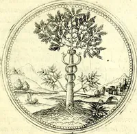 An illustration from Symbolorvm et emblematvm ex re herbaria desvmtorvm centvria vna (1590)