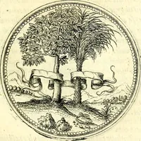 An illustration from Symbolorvm et emblematvm ex re herbaria desvmtorvm centvria vna (1590)