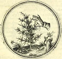 An illustration from Symbolorvm et emblematvm ex re herbaria desvmtorvm centvria vna (1590)