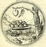 An illustration from Symbolorvm et emblematvm ex re herbaria desvmtorvm centvria vna (1590)