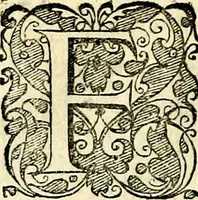 An illustration from Symbolorvm et emblematvm ex re herbaria desvmtorvm centvria vna (1590)
