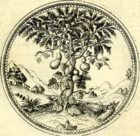 An illustration from Symbolorvm et emblematvm ex re herbaria desvmtorvm centvria vna (1590)
