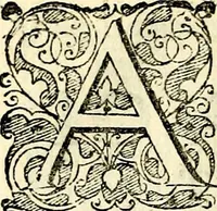 An illustration from Symbolorvm et emblematvm ex re herbaria desvmtorvm centvria vna (1590)