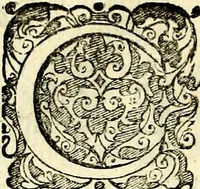 An illustration from Symbolorvm et emblematvm ex re herbaria desvmtorvm centvria vna (1590)