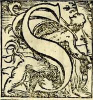 An illustration from Symbolorvm et emblematvm ex re herbaria desvmtorvm centvria vna (1590)