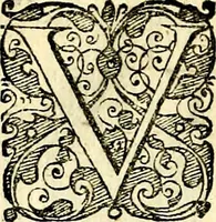 An illustration from Symbolorvm et emblematvm ex re herbaria desvmtorvm centvria vna (1590)
