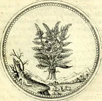 An illustration from Symbolorvm et emblematvm ex re herbaria desvmtorvm centvria vna (1590)
