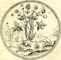 An illustration from Symbolorvm et emblematvm ex re herbaria desvmtorvm centvria vna (1590)