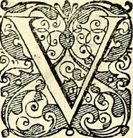 An illustration from Symbolorvm et emblematvm ex re herbaria desvmtorvm centvria vna (1590)