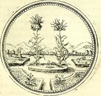 An illustration from Symbolorvm et emblematvm ex re herbaria desvmtorvm centvria vna (1590)