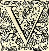 An illustration from Symbolorvm et emblematvm ex re herbaria desvmtorvm centvria vna (1590)