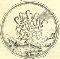 An illustration from Symbolorvm et emblematvm ex re herbaria desvmtorvm centvria vna (1590)