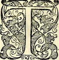 An illustration from Symbolorvm et emblematvm ex re herbaria desvmtorvm centvria vna (1590)