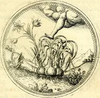 An illustration from Symbolorvm et emblematvm ex re herbaria desvmtorvm centvria vna (1590)