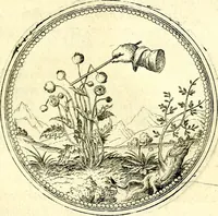 An illustration from Symbolorvm et emblematvm ex re herbaria desvmtorvm centvria vna (1590)