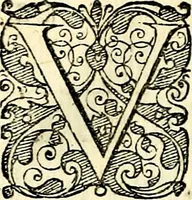 An illustration from Symbolorvm et emblematvm ex re herbaria desvmtorvm centvria vna (1590)