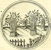 An illustration from Symbolorvm et emblematvm ex re herbaria desvmtorvm centvria vna (1590)
