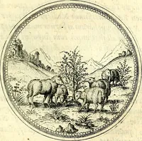 An illustration from Symbolorvm et emblematvm ex re herbaria desvmtorvm centvria vna (1590)