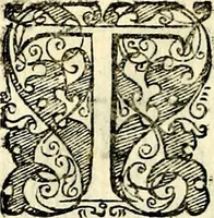 An illustration from Symbolorvm et emblematvm ex re herbaria desvmtorvm centvria vna (1590)